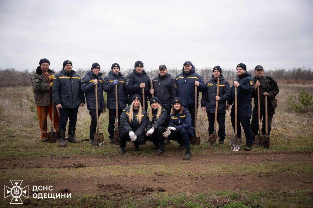 Одеські рятувальники висадили більше сотні кримських сосен (фото)