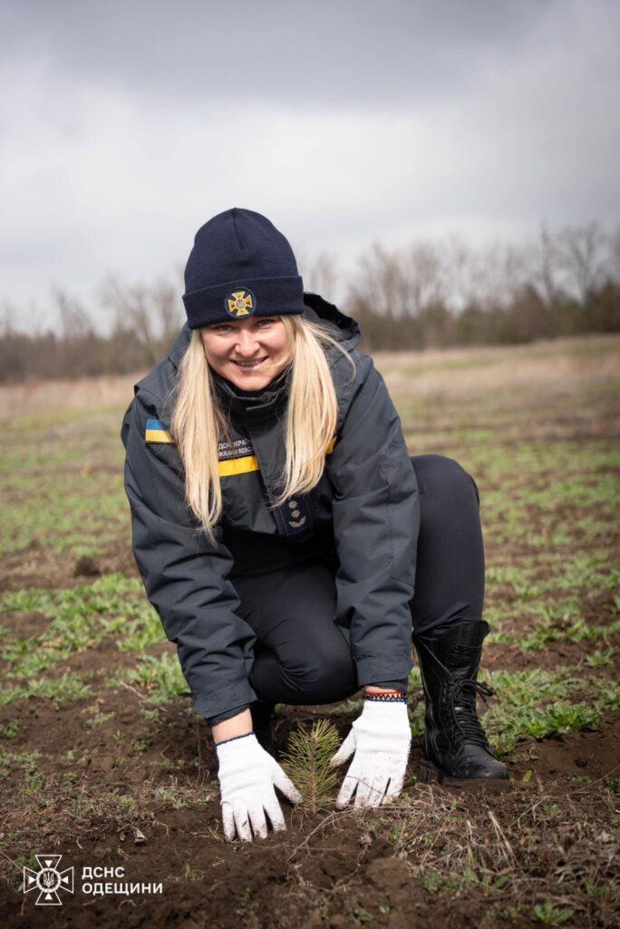 Одеські рятувальники висадили більше сотні кримських сосен (фото)