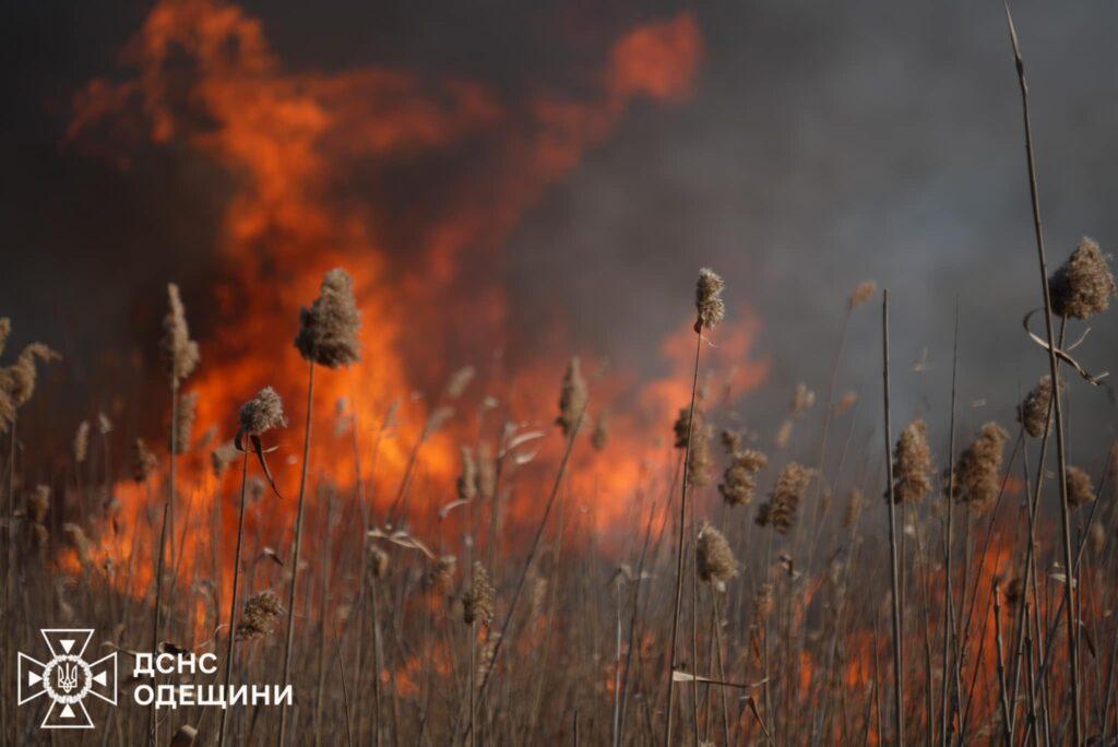 В Одесской области тушат огромный пожар