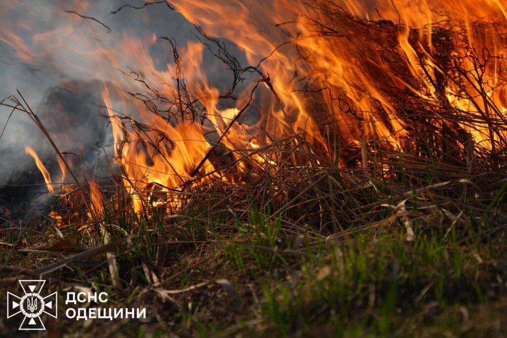 В Одесской области тушат огромный пожар