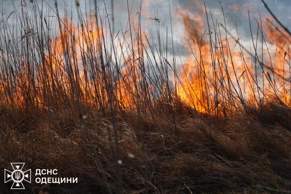 В Одесской области тушат огромный пожар