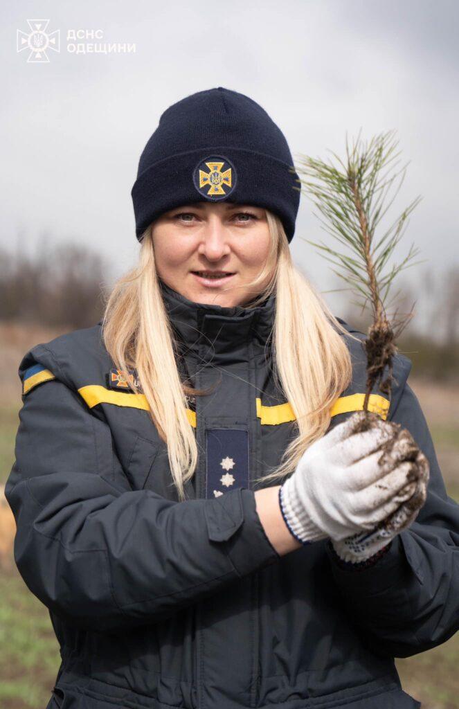 Одеські рятувальники висадили більше сотні кримських сосен (фото)