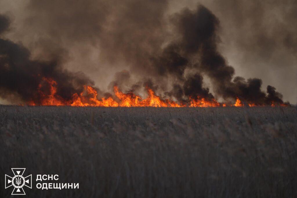 В Одесской области тушат огромный пожар