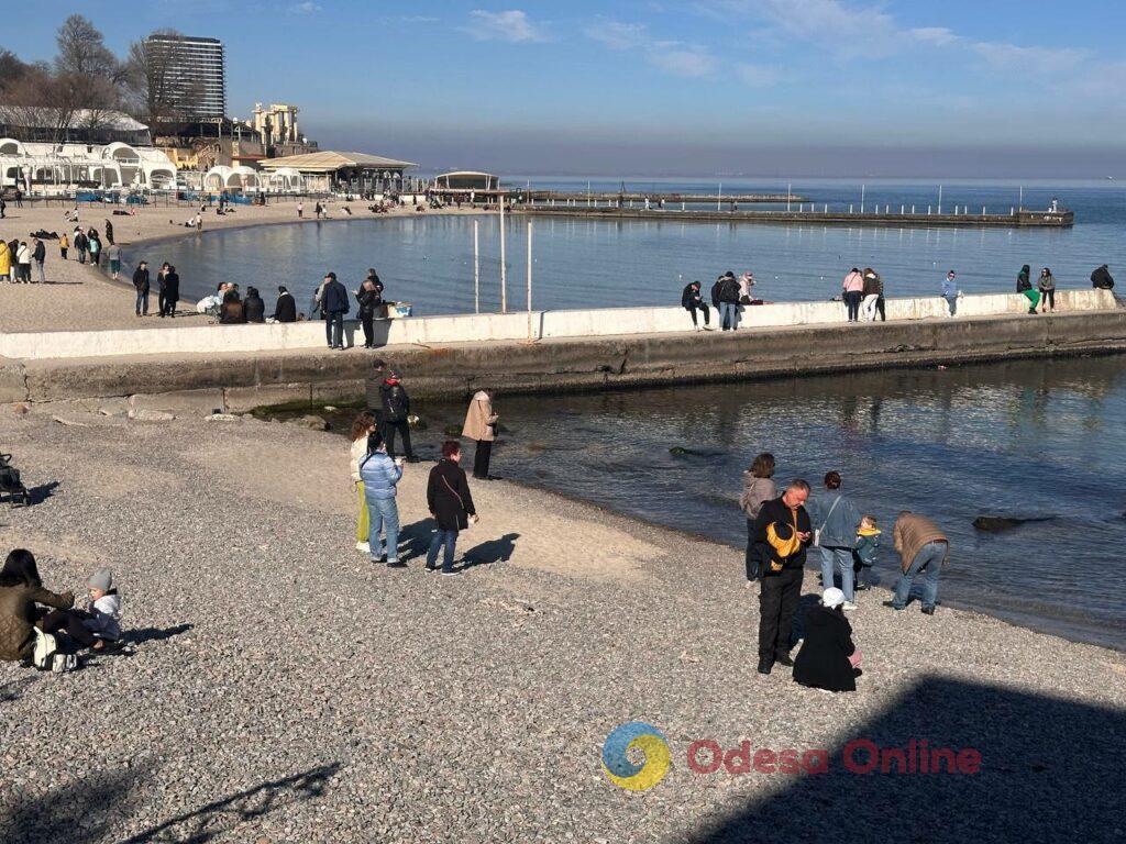 В Одесу прийшла весна: прогулянка біля моря (фоторепортаж)