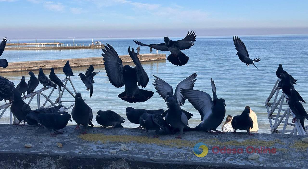 В Одесу прийшла весна: прогулянка біля моря (фоторепортаж)