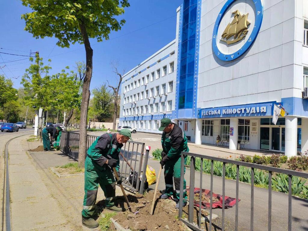 В Одессе корчуют пни