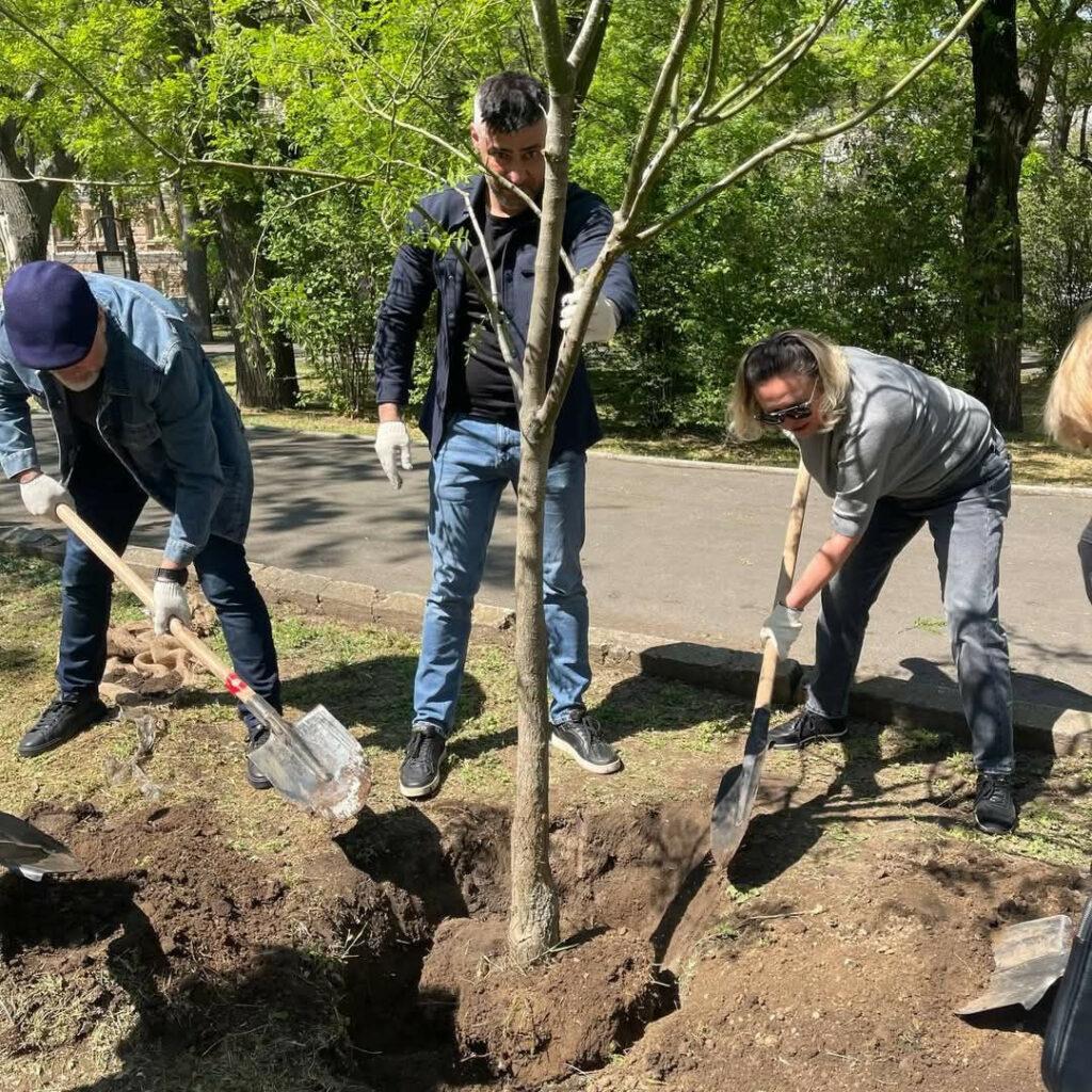 В Одесі висадили понад півсотні молодих софор (фото)