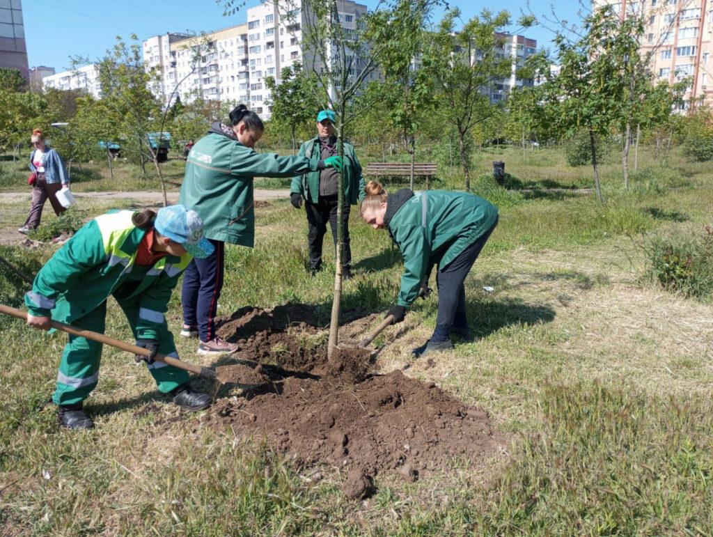 Озеленение Одессы: с начала года в городе высадили более 1600 деревьев