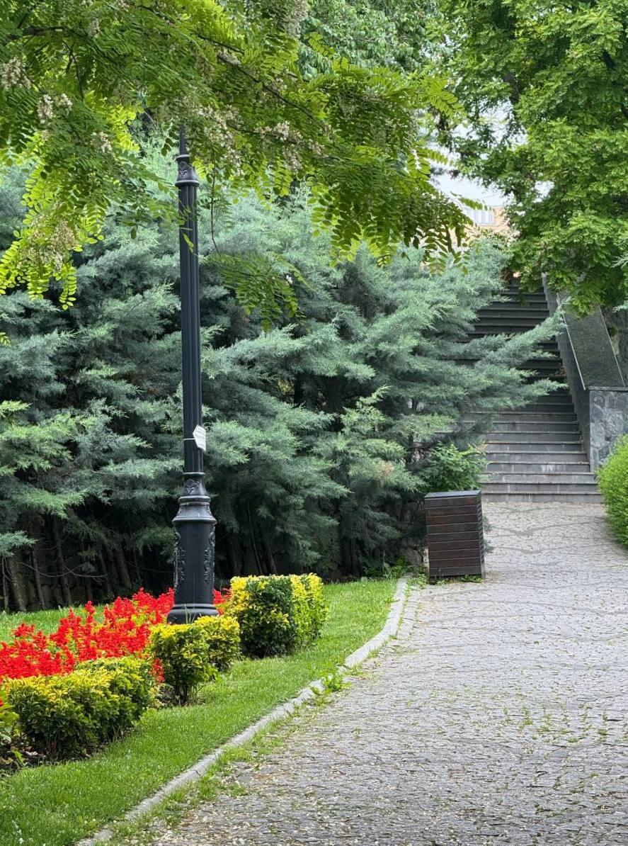 Одеса: Стамбульський парк прикрасять 30 тисячами квітів бегонії