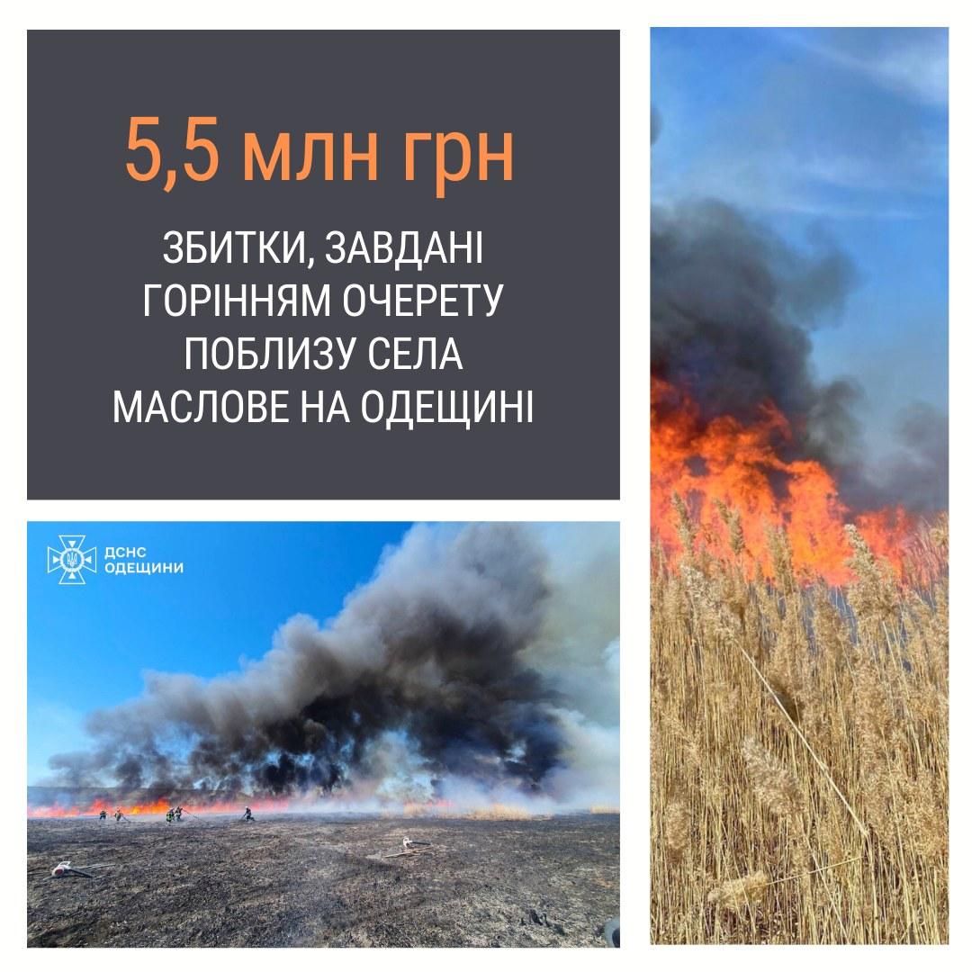 В Одесской области масштабный пожар уничтожил важную часть экосистемы