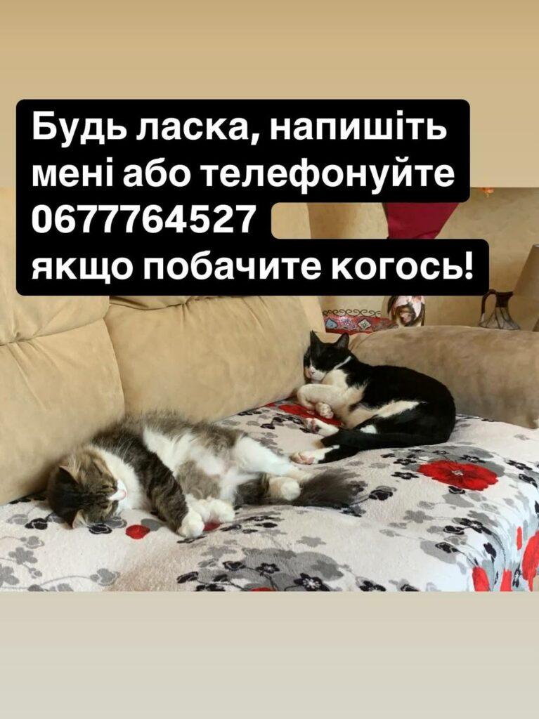 Директор Одеського зоопарку розшукує своїх домашніх улюбленців: тварини загубилися під час атаки РФ