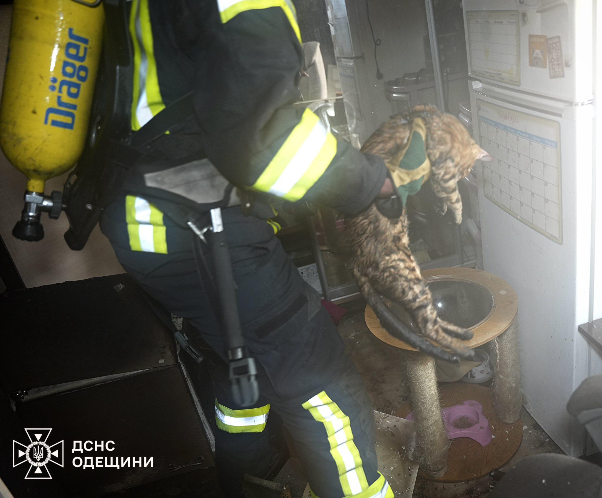 В Одессе на Дерибасовской горела квартира (фото, видео)