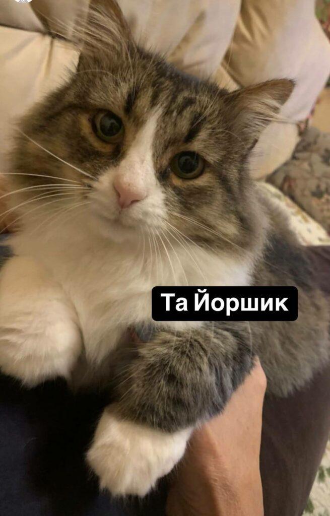 Директор Одеського зоопарку розшукує своїх домашніх улюбленців: тварини загубилися під час атаки РФ