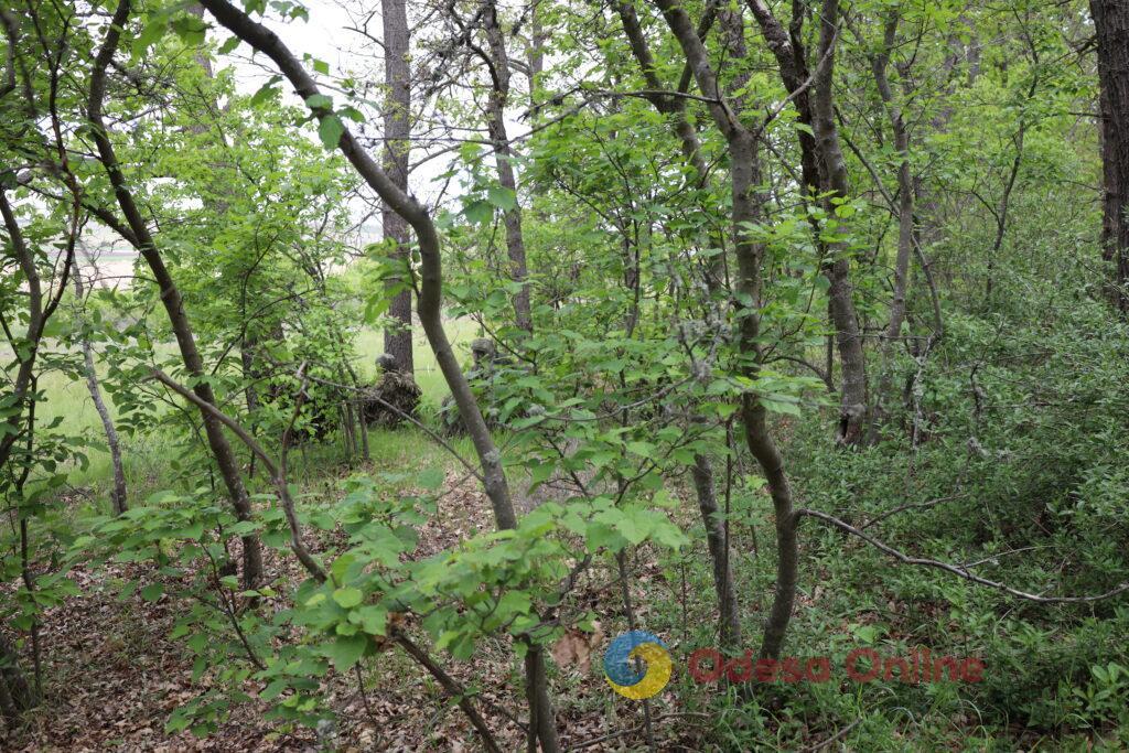 Швидкісні човни, моментальний вихід на позиції та майстерне маскування: один день з воїнами 40-ї окремої бригади берегової оборони