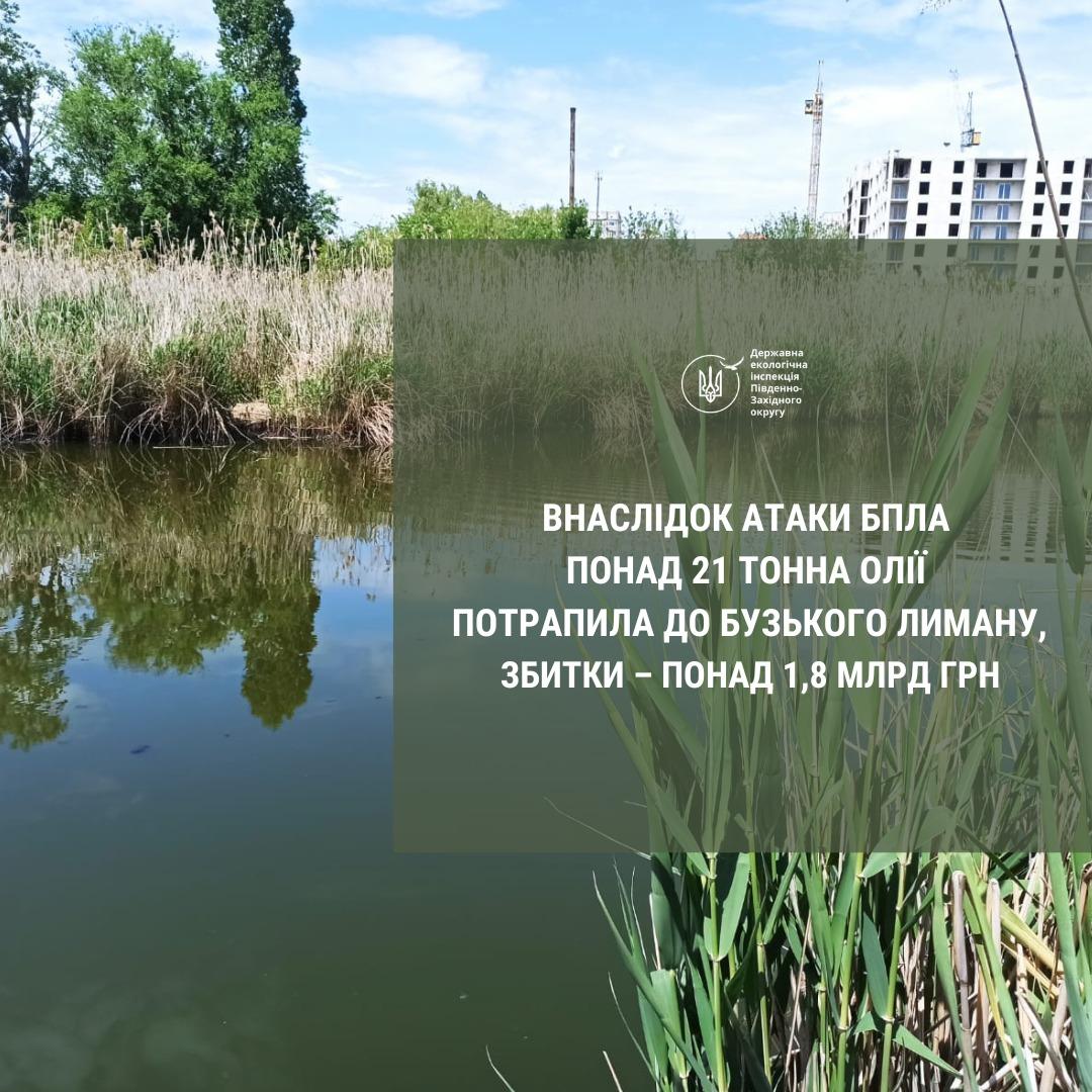 У Миколаєві внаслідок атаки РФ до лиману потрапила 21 тонна олії