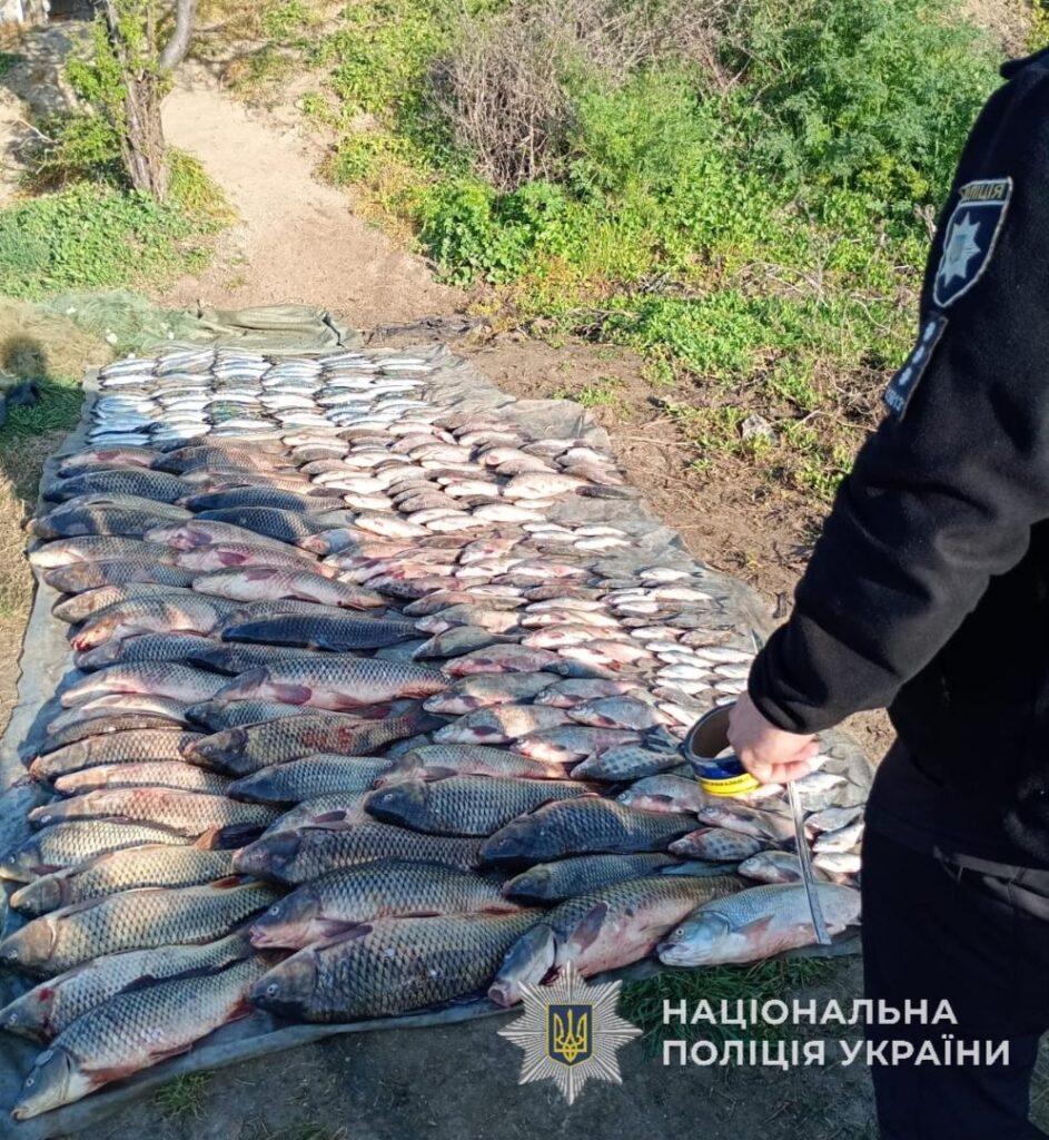 На Одещині браконьєри наловили риби на 700 тисяч гривень (фото)