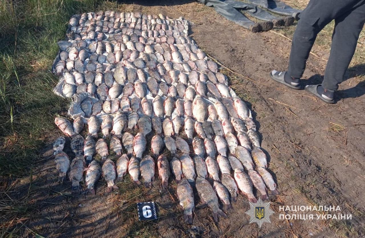На Одещині браконьєри наловили риби на 700 тисяч гривень (фото) На Одещині браконьєри наловили риби на 700 тисяч гривень (фото)