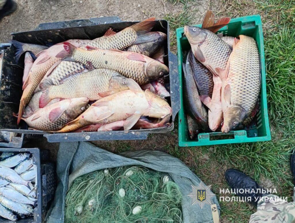 На Одещині браконьєри наловили риби на 700 тисяч гривень (фото)