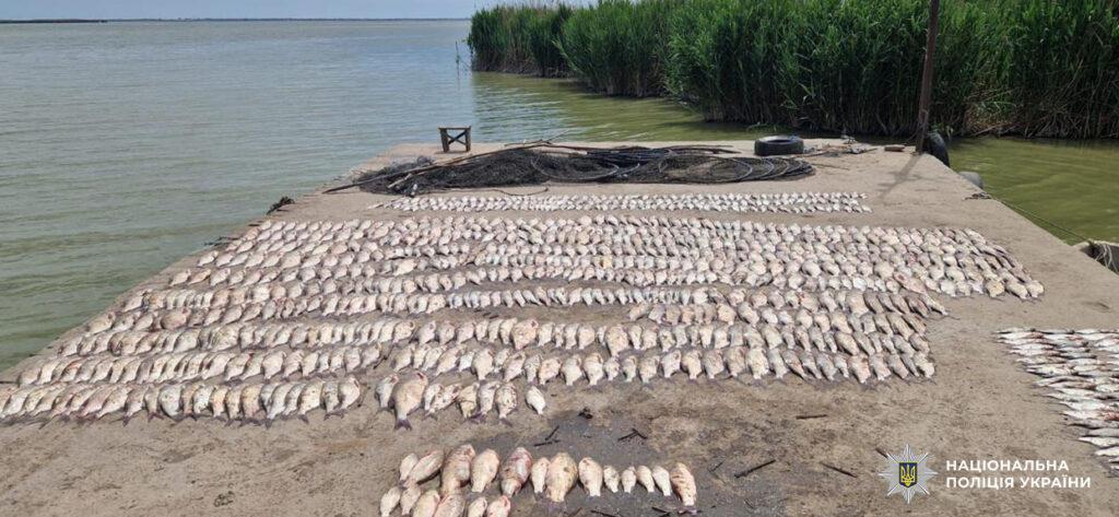 Браконьєрство на Одещині: батько з сином наловили риби на 2,5 мільйона гривень