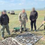 Одесская область: браконьер за один день нанес ущерб на 16,6 млн гривен