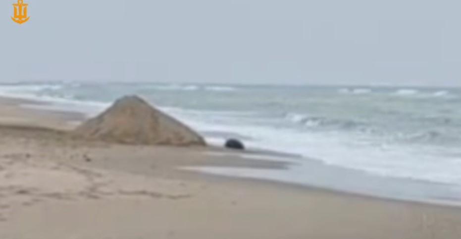 Військові моряки знищили чергову ворожу міну, яку винесло до Одеського узбережжя Військові моряки знищили чергову ворожу міну, яку винесло до Одеського узбережжя
