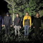 Не дали сбежать из Украины: в Одесской области задержали пятерых беглецов и проводника
