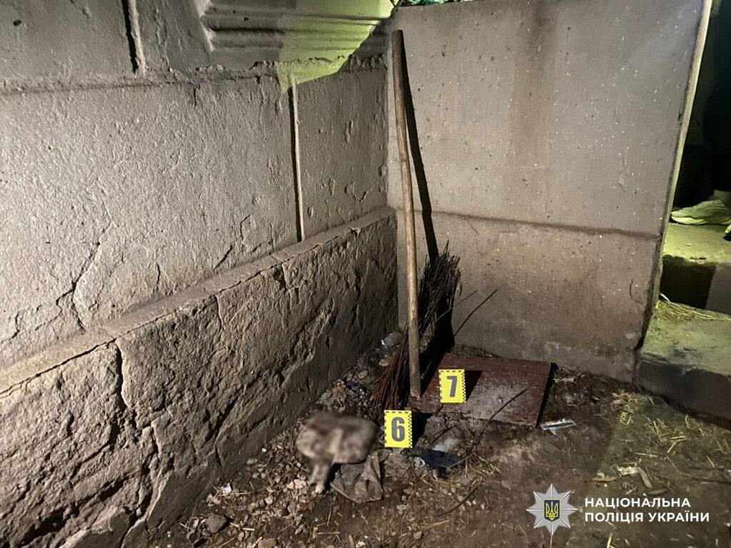 Лопатою по голові: двоє мешканців Одеської напали на односельця та співмешканку