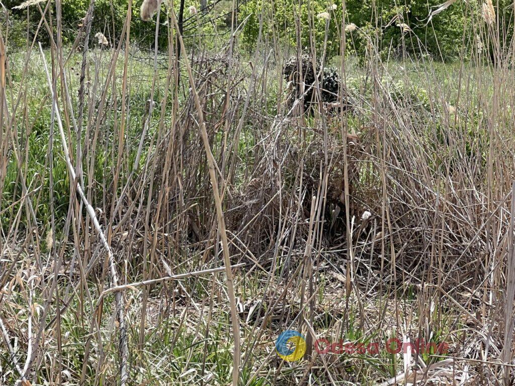 Швидкісні човни, моментальний вихід на позиції та майстерне маскування: один день з воїнами 40-ї окремої бригади берегової оборони