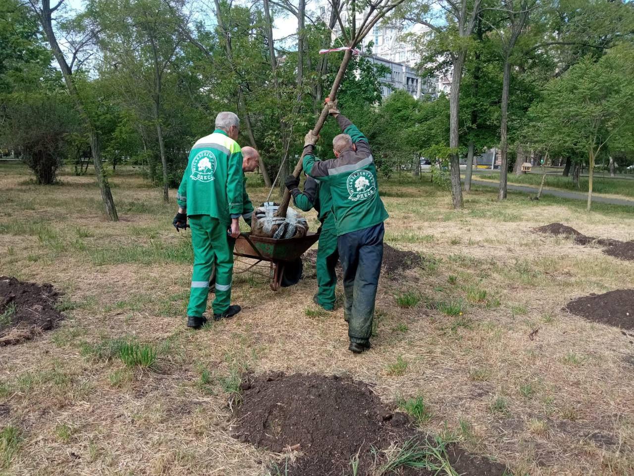 У двох одеських парках висадили молоді дерева (фото)