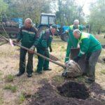 В двух одесских парках высадили молодые деревья (фото)
