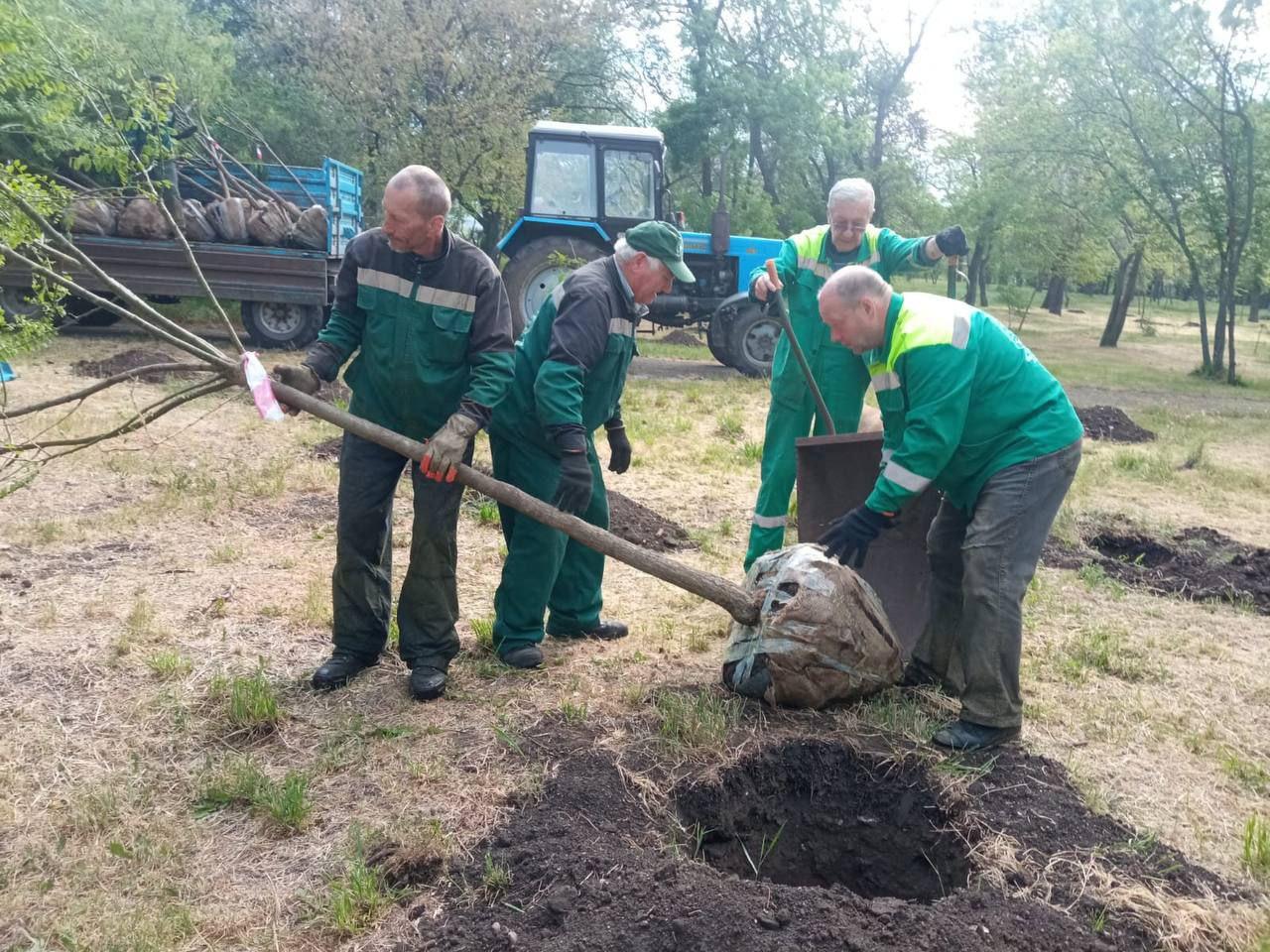 У двох одеських парках висадили молоді дерева (фото)