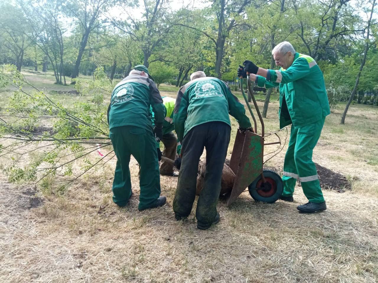 У двох одеських парках висадили молоді дерева (фото)