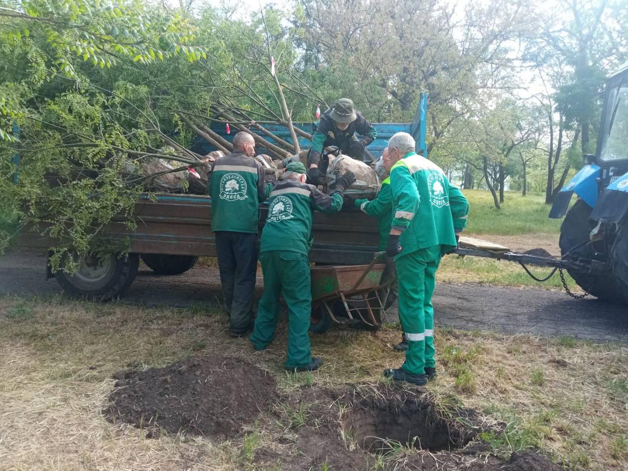 У двох одеських парках висадили молоді дерева (фото)