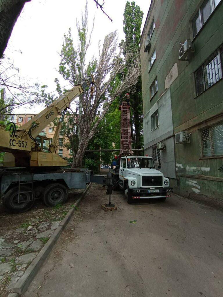 Штормовий вітер повалив в Одесі дерева та великі гілки (фото)