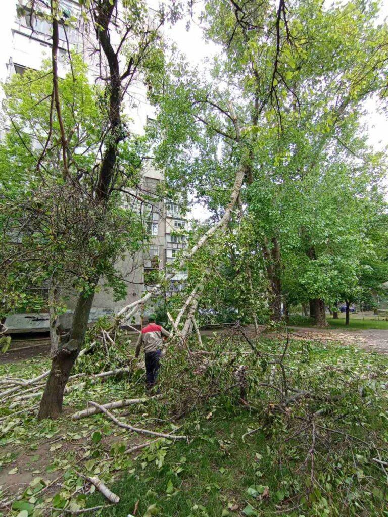 Штормовий вітер повалив в Одесі дерева та великі гілки (фото)
