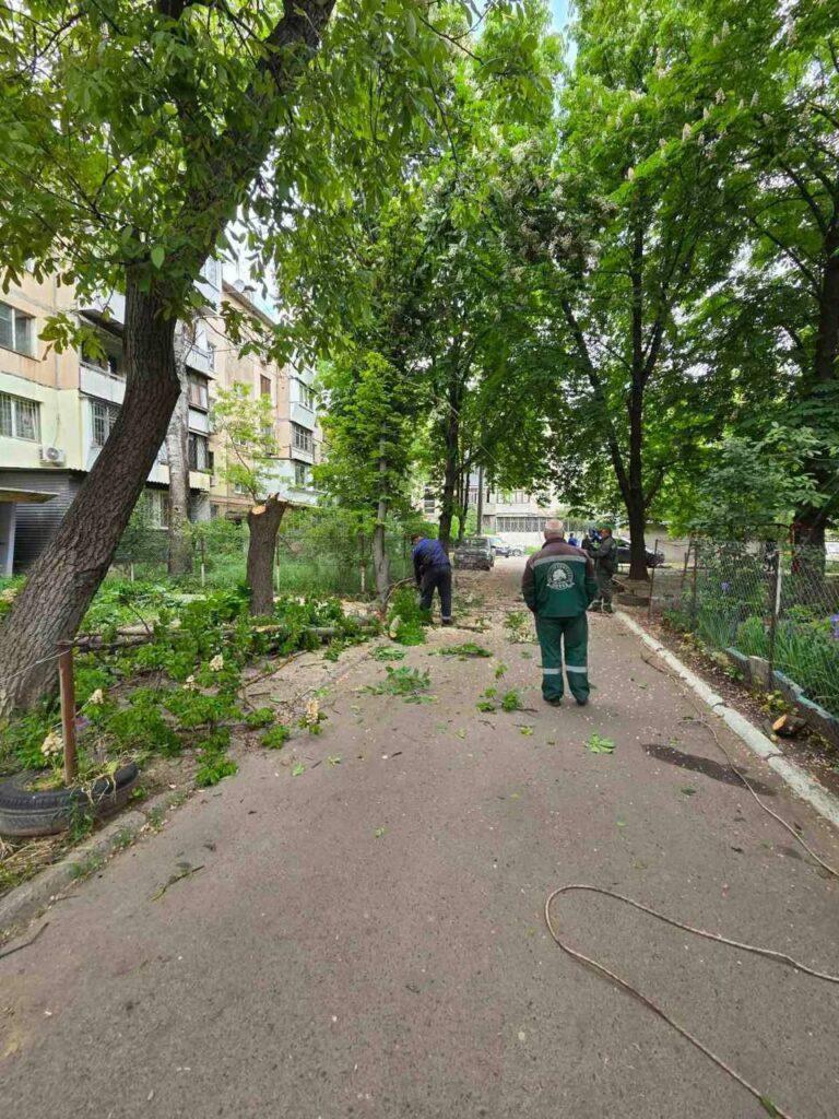 Штормовий вітер повалив в Одесі дерева та великі гілки (фото)
