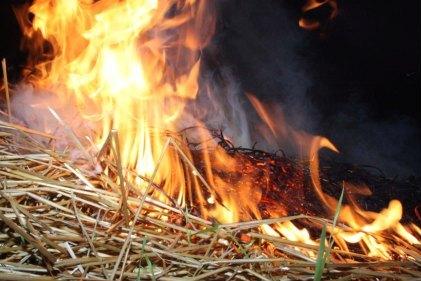 Мешканка Одещини отримала опіки при спробі самостійно загасити палаюче сіно Мешканка Одещини отримала опіки при спробі самостійно загасити палаюче сіно