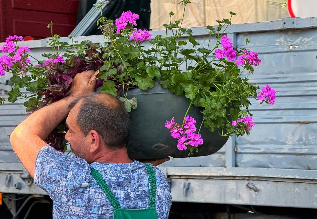 Одесу прикрашають підвісними вазами з квітами (фото)