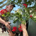 Одессу украшают подвесными вазами с цветами (фото)