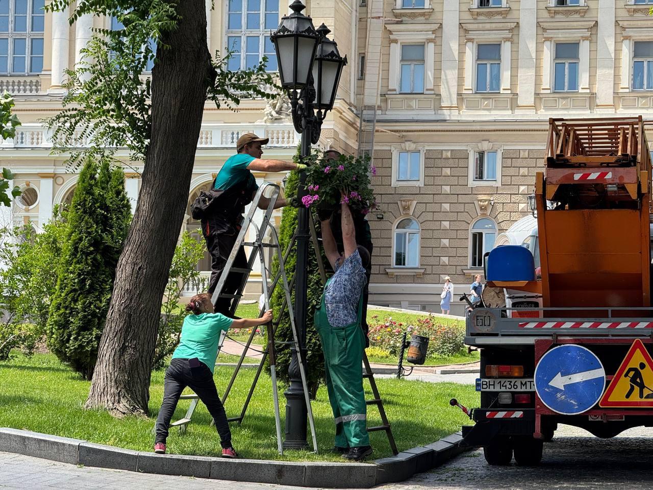 Одесу прикрашають підвісними вазами з квітами (фото)