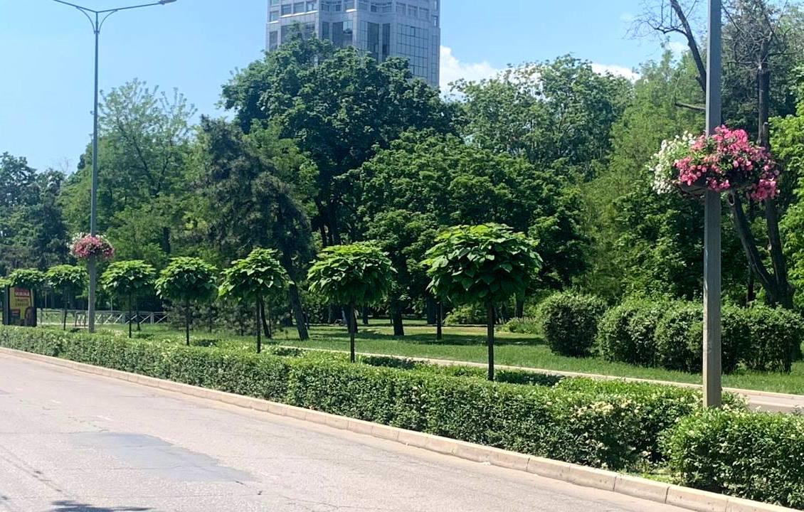 Одесу прикрашають підвісними вазами з квітами (фото)