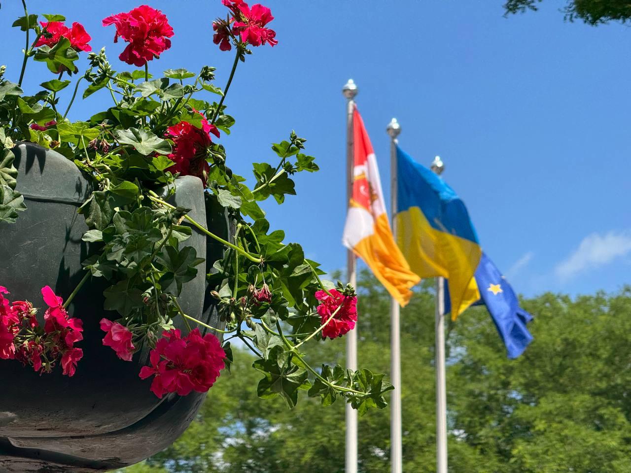 Одесу прикрашають підвісними вазами з квітами (фото)