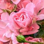 Прогноз погоды в Одессе и области на 6 июня