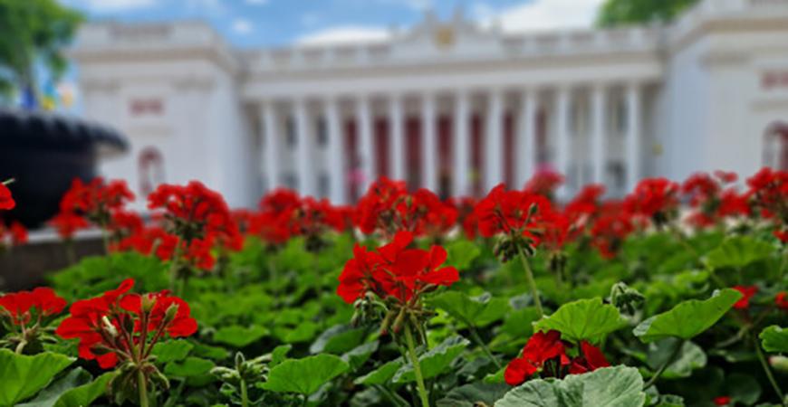Прогноз погоди у Одесі та області на 29 червня