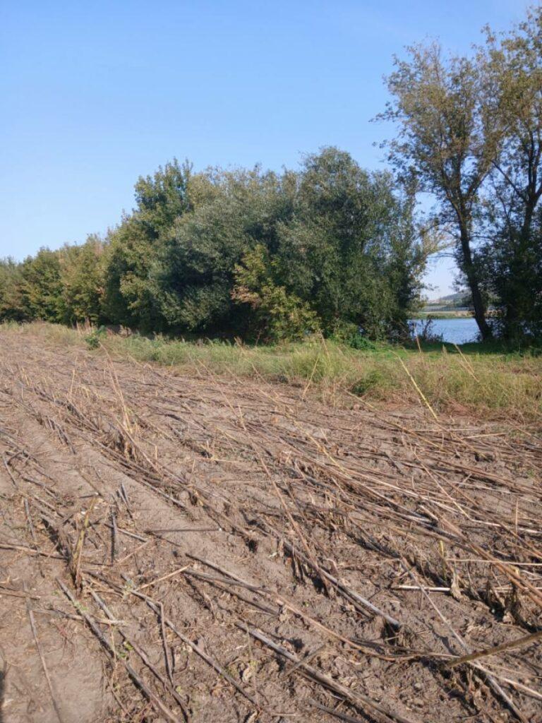 В Одесской области самовольно захватили землю и нанесли ущерб почти на 700 тысяч гривен