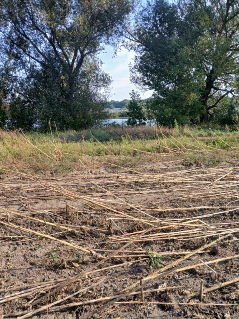 В Одесской области самовольно захватили землю и нанесли ущерб почти на 700 тысяч гривен