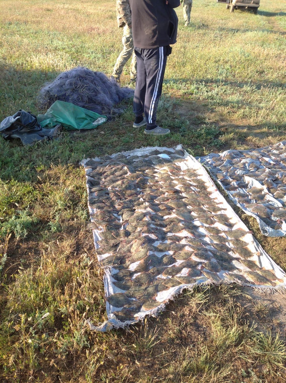 На Одещині у нацпарку чоловік незаконно наловив камбали на 16 мільйонів гривень