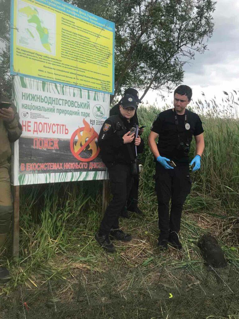 Краснокнижная выдра погибла из-за браконьерских сетей в Одесской области