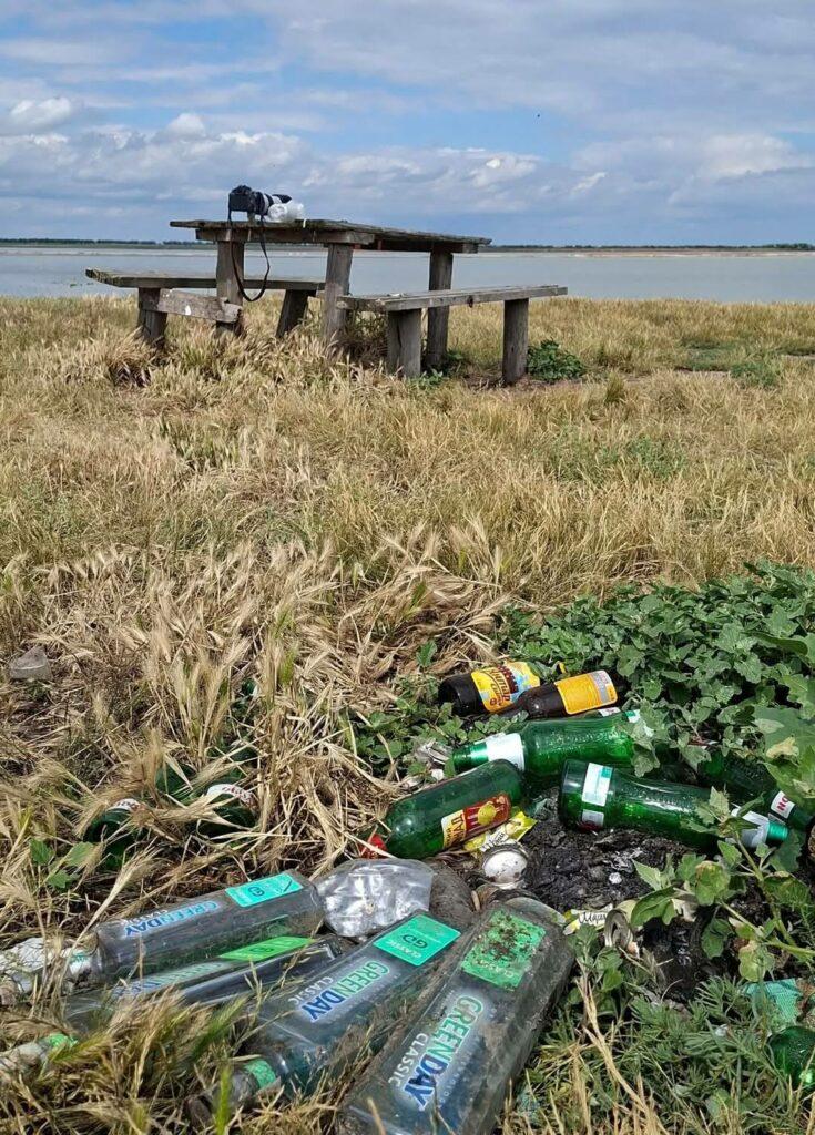 Одесская область: «отдых» местных жителей заставил фламинго бросить гнезда