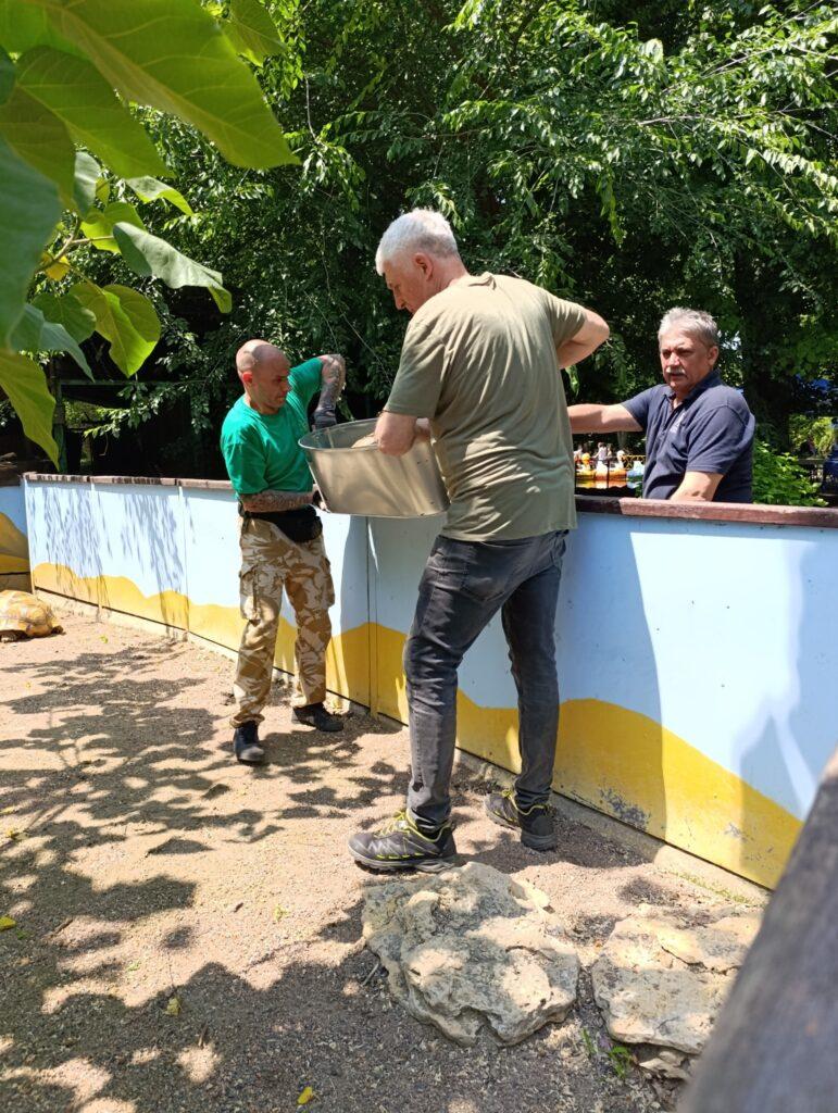 Величезні черепахи переїхали до відкритої експозиції Одеського зоопарку